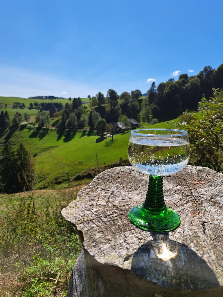Klarheit finden bedeutet auch sich Mini-Auszeiten zu gönnen. Hier am Schniederlihof in Oberried-Hofsgrund.