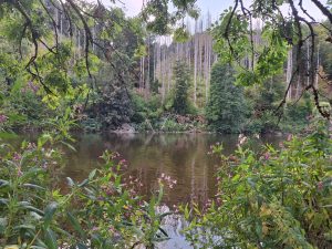 Walk and Talk an der wildromantischen Sieg