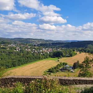 Walk and Talk - blick von der Burg Windeck